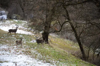 DSC_0794 (Large).JPG